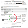 editable template, USA New York American Express Blue bank statement in Word and PDF format
