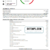 editable template, Romania Raiffeisen bank statement template in Word and PDF format (in Romanian language)