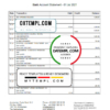 editable template, Netherlands Amsterdam Trade Bank statement template in Word and PDF format
