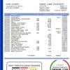 editable template, USA Nebraska Five Points Bank credit card statement template in Word and PDF format