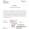 editable template, Pakistan Faysalbank bank account reference letter template in Word and PDF format