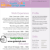 editable template, Modern Resume Template in WORD format 6