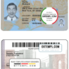 editable template, USA New York ID template in PSD format, fully editable