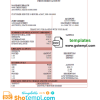 editable template, #universal multipurpose bank statement template in Word format