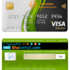 editable template, Malaysia Packet 1 Network bank visa electron card, fully editable template in PSD format