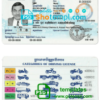 Cambodia driver license PSD template