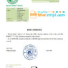 editable template, Sudan Saudi Sudan’s Bank bank account balance reference letter template in Word and PDF format
