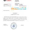 editable template, Switzerland UBS bank reference letter template in Word and PDF format