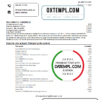 editable template, Romania Raiffeisen bank statement template in Excel and PDF format (in Romanian language)
