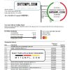 editable template, USA Florida Silicon Valley bank credit card statement template in Excel and PDF format