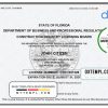 editable template, USA Florida Contractor Business license template in Word and PDF format