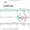 editable template, USA HI pay stub template in Word and PDF format, fully editable