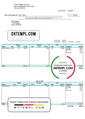 USA HI pay stub template in Word and PDF format, fully editable