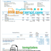 editable template, India Sleek Bill invoicing software company invoice template in Word and PDF format, fully editable