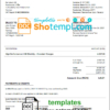 editable template, Norway Servebolt high performance hosting company invoice template in Word and PDF format, fully editable