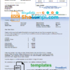 editable template, USA Froedtert Hospital invoice template in Word and PDF format, fully editable