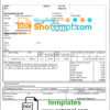 editable template, India Saral cooperative altimetry technology mission invoice template in Word and PDF format, fully editable