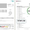 editable template, Hong Kong Bank of China (Hong Kong) bank statement template in Excel and PDF format (3 pages)