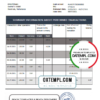 editable template, Netherlands Citibank bank statement template in .xls and .pdf file format
