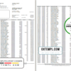 editable template, Philippines PNB bank statement template in Excel and PDF format (4 pages)