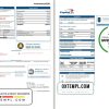 editable template, USA Capital One bank statement template in Excel and PDF format (2 pages) version 3