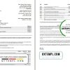 editable template, USA New York CFSB bank statement template in Word and PDF format, 2 pages