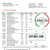 editable template, USA Texas 5Point bank statement template in Excel and PDF format
