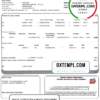 editable template, Spain Feníe Energía utility bill template in Word and PDF format