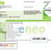 editable template, Cameroon ENEO electricity utility bill template in Word and PDF format (current version)