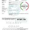 editable template, Turkey Istanbul Certificate of Activity template in Word and PDF format