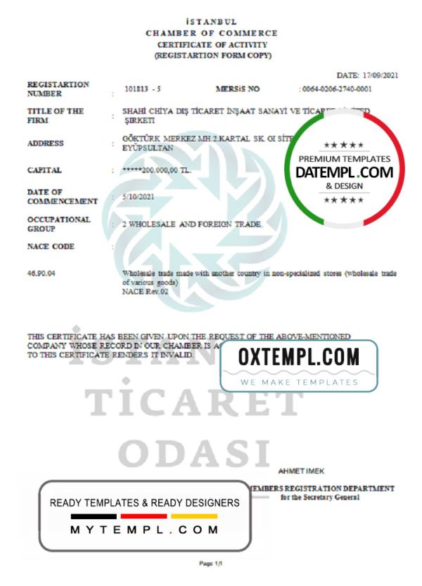 editable template, Turkey Istanbul Certificate of Activity template in Word and PDF format