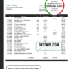 editable template, Bangladesh Agrani Bank statement template in Word and PDF format