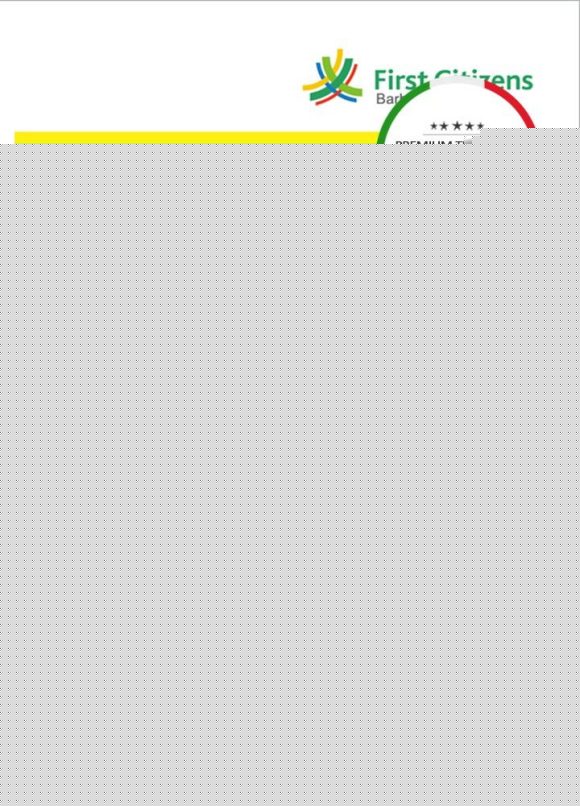 editable template, Barbados First Citizens bank statement template in .doc and .pdf format