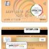 editable template, Moldova Procredit bank visa electron card, fully editable template in PSD format