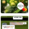 editable template, Romania CEC Bank mastercard, fully editable template in PSD format
