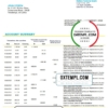 editable template, Sri Lanka Hatton National Bank statement template in Word and PDF format