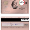 editable template, USA University of Southern Indiana bank AMEX rose gold metal card template in PSD format, fully editable