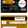 editable template, New Zealand Ami Insurance Limited bank visa signature card, fully editable template in PSD format