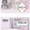 Norway driver license PSD template (2013 - present)
