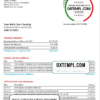 editable template, USA Bank of America bank statement template in Word and PDF format, version 4