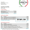 editable template, USA Bank of America bank statement template in Excel and PDF format, version 4