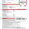 editable template, USA Michigan DTE Energy utility bill template in Word and PDF format