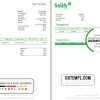 editable template, Latvia Sellfy tax invoice template in Word and PDF format, fully editable