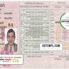 Guinea driver license PSD template