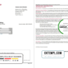 editable template, USA Bank of America bank statement template in Excel and PDF format (4 pages), version 3