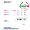 editable template, # art axis universal multipurpose invoice template in Word and PDF format, fully editable