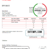 editable template, # addict stream universal multipurpose invoice template in Word and PDF format, fully editable