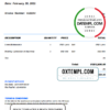 editable template, # gold zone universal multipurpose invoice template in Word and PDF format, fully editable