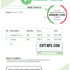 editable template, # platinium team universal multipurpose invoice template in Word and PDF format, fully editable