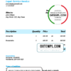 editable template, # automate bot universal multipurpose invoice template in Word and PDF format, fully editable